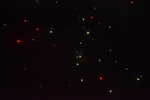 烟花11