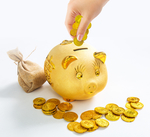 储钱罐金猪