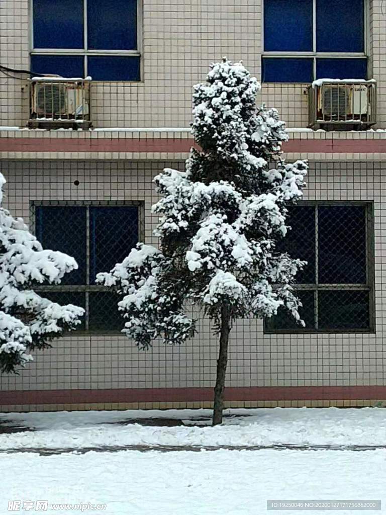 雪 雪景  雪花  雪树  雾