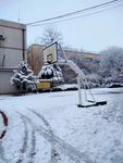 雪 雪景  雪花  雪树  雾