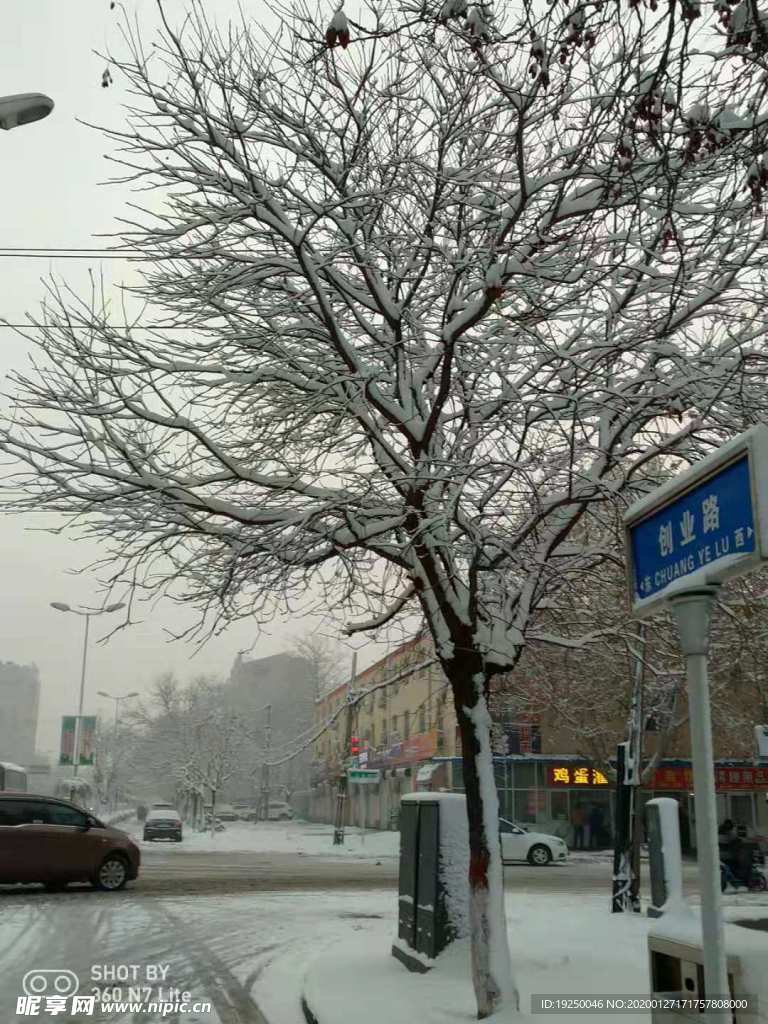 雪 雪景  雪花  雪树  雾