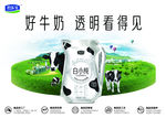 白小纯牛奶围板