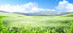 春天蓝天白云山峰草地