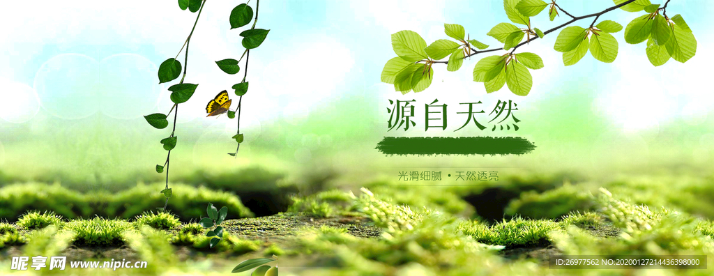 绿色清新自然植物背景