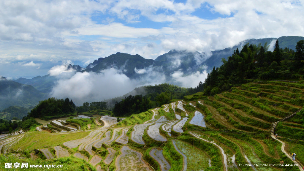 美丽的梯田景观