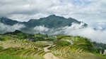美丽的梯田景观