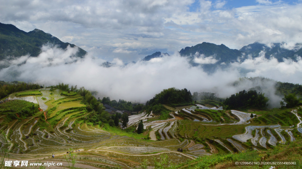 美丽的梯田景观