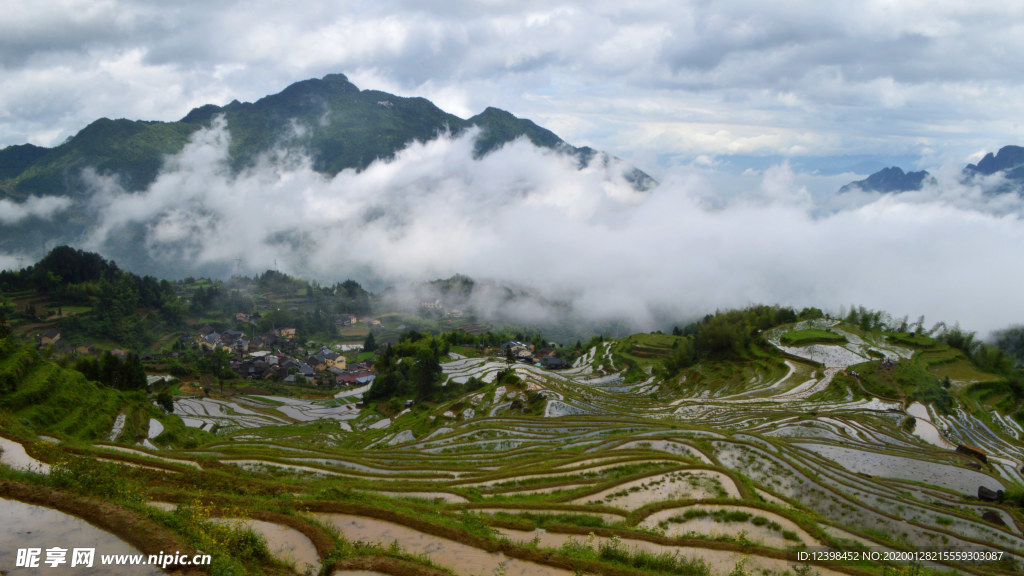 美丽的梯田景观