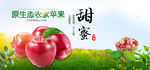 甜蜜苹果