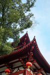 园林景观