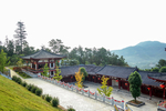庭院