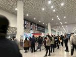 室内景观