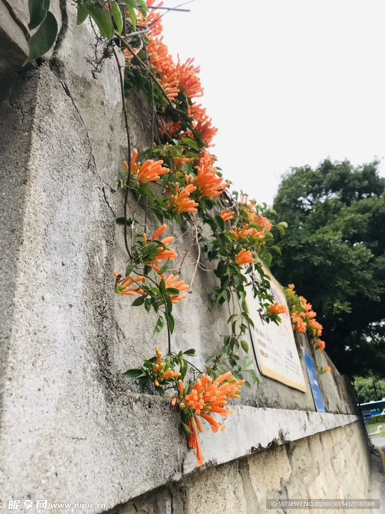 自然美景