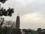 自然美景