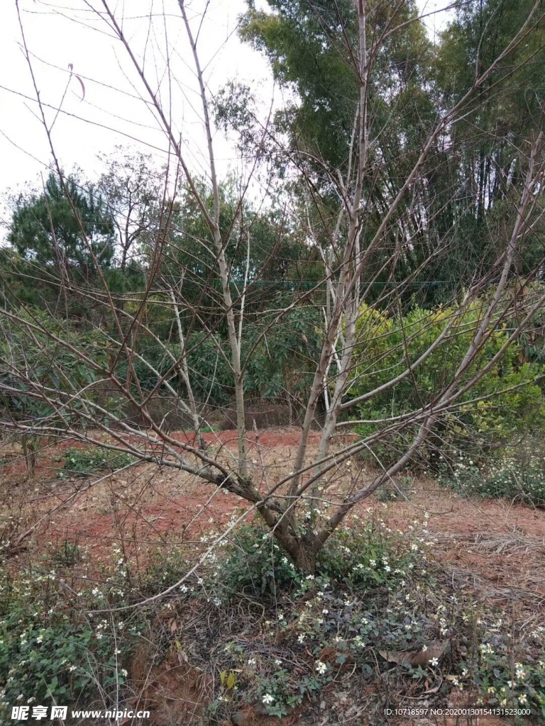 自然美景