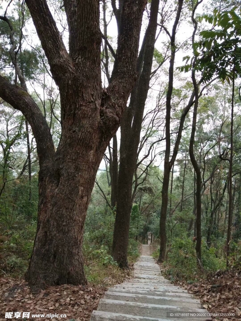 自然美景