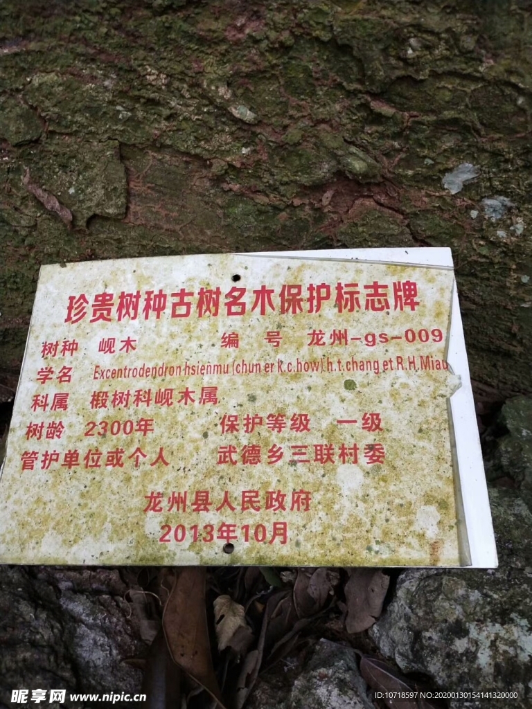 自然美景