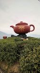 茶壶