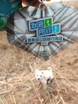 为爱同行