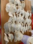 饺子