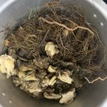 传统美食