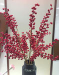 花卉