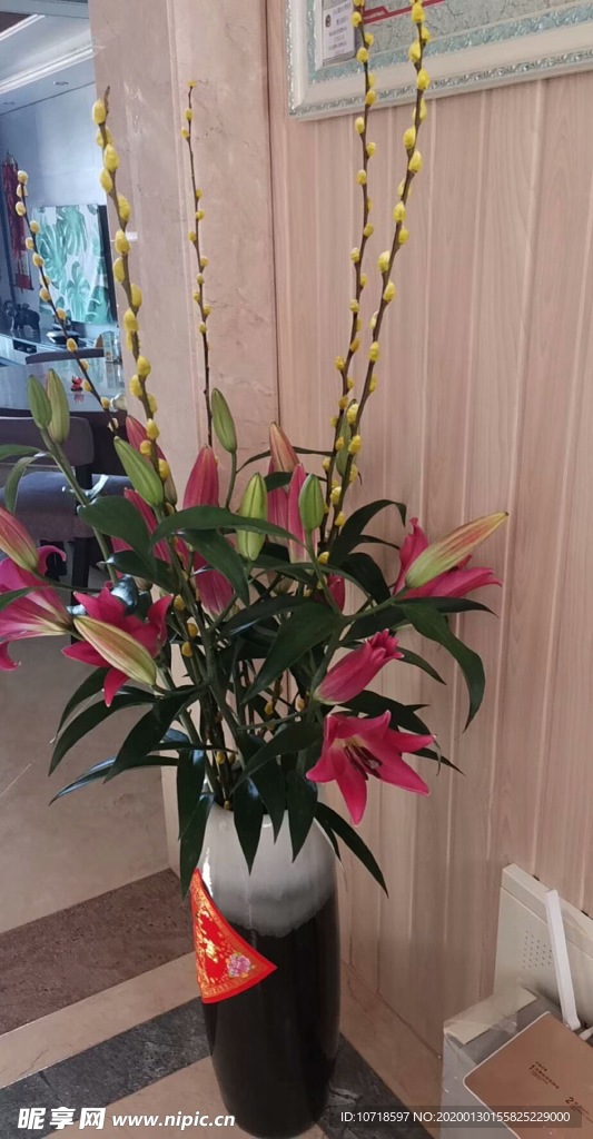 花卉