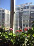 自然景观