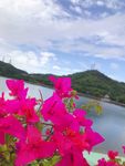 自然景观
