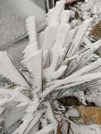 雪景