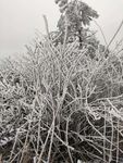 雪景