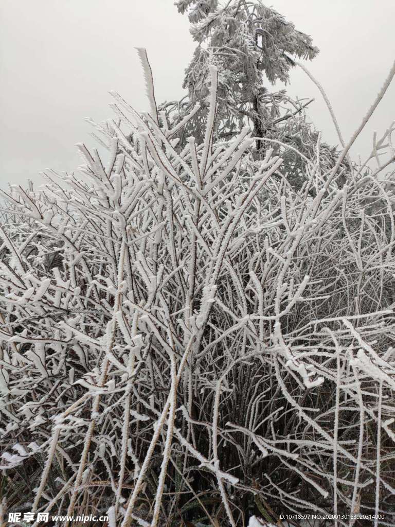 雪景