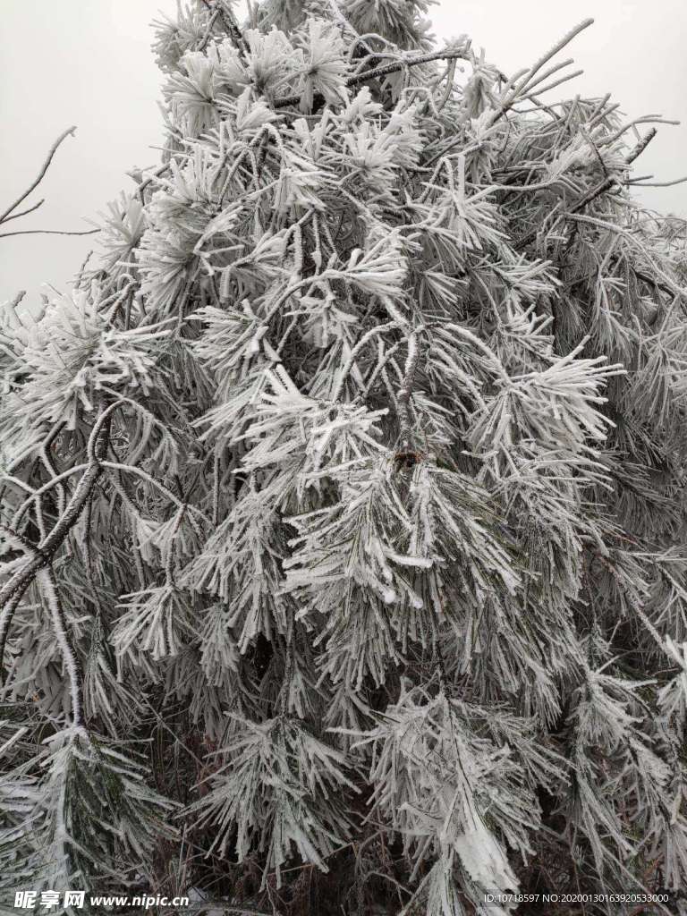 雪景