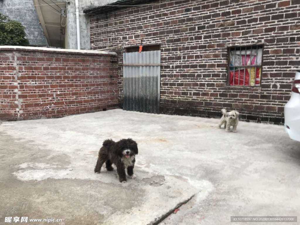 自然景观