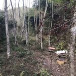 自然景观