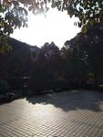 自然景观