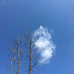自然景观