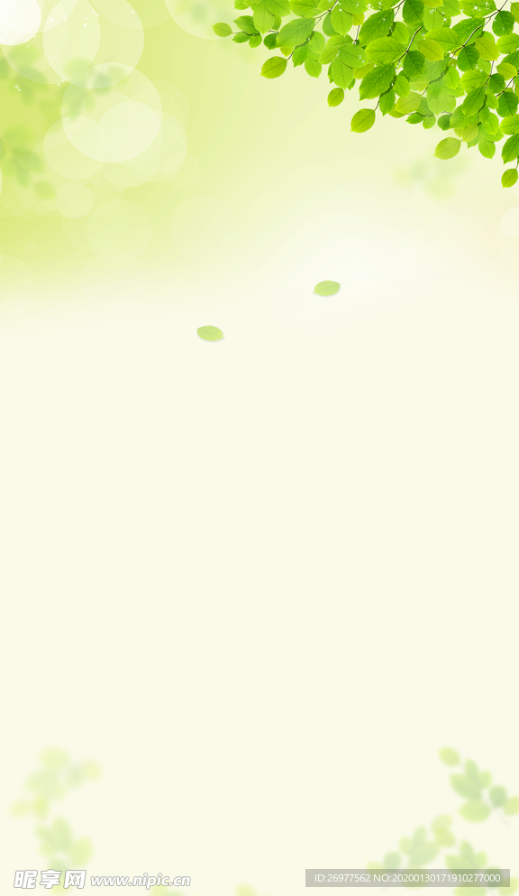 小清新春天绿叶背景