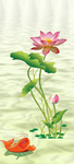 出水芙蓉