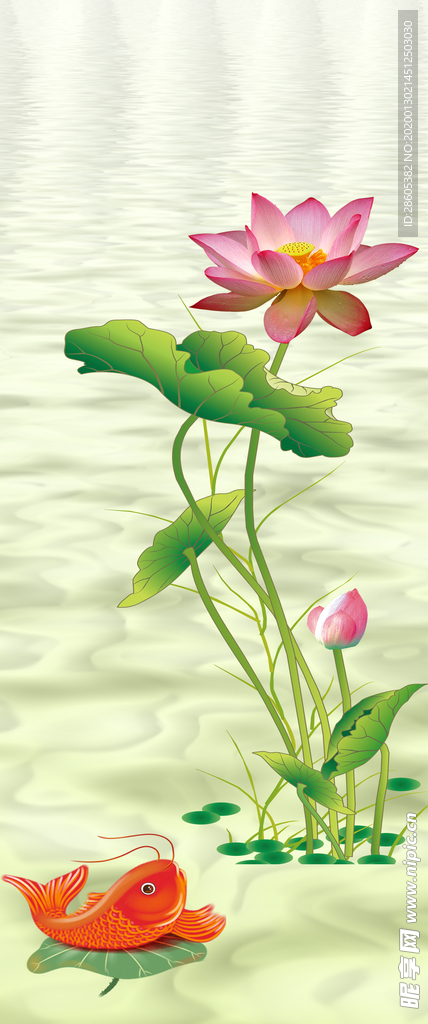 出水芙蓉