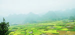 万峰山