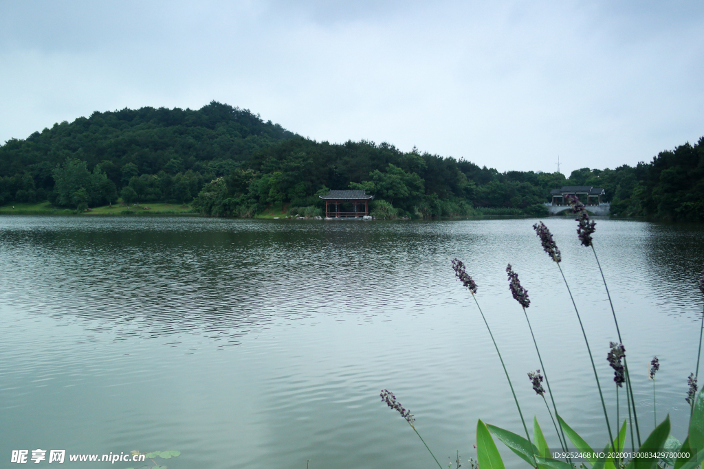 山水园林