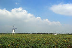 田原风光
