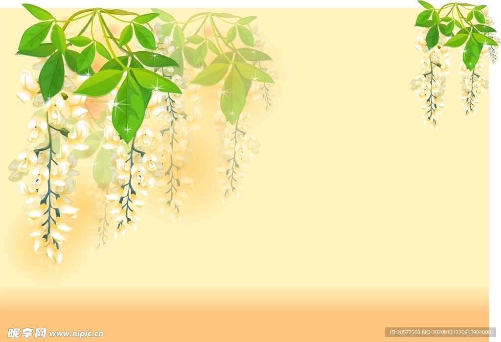 蜂蜜标签