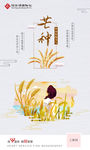 芒种