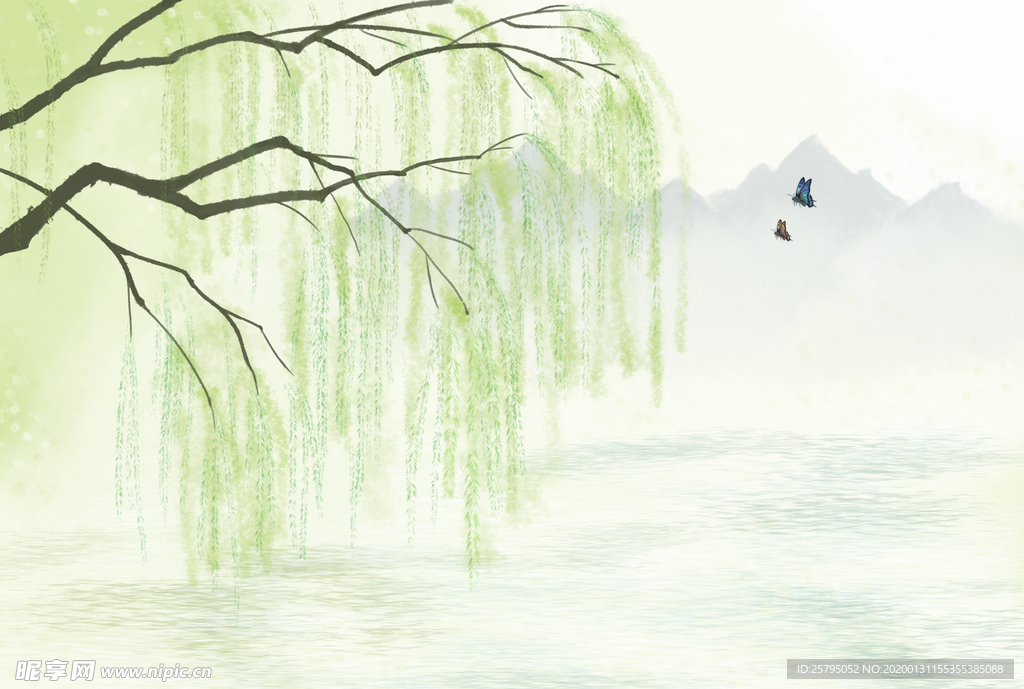 柳树