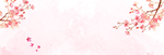 樱
