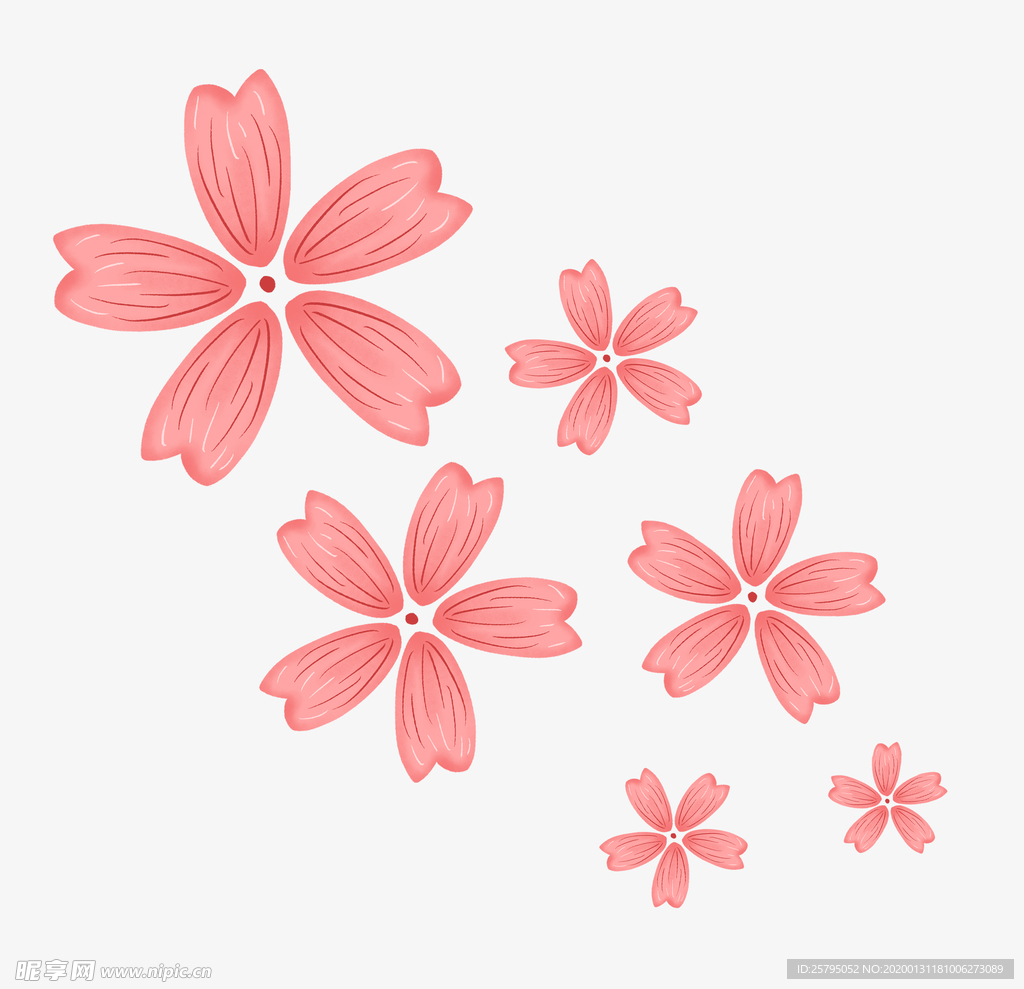 樱花