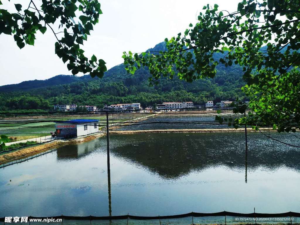 水域
