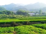 田园风光